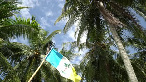 Penang-flag-wave-at-coconut-palm-tree